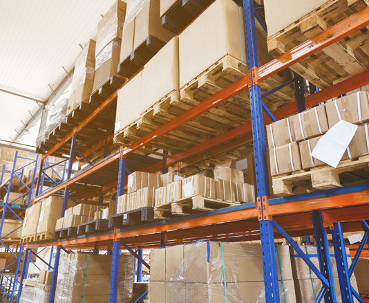 Focus network agencies case study